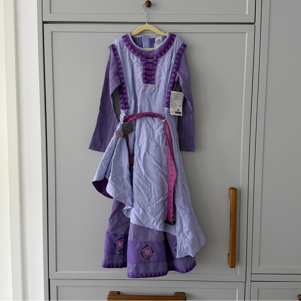 NWT Deluxe Disney Princess Dress Asha from Wish (Size 7/8)
